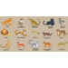 FELINOS