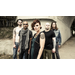 FLYLEAF