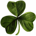 SHAMROCK