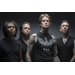 BUCKCHERRY