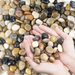 PEBBLES