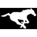 STAMPEDERS